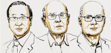 Nobelpreis für Chemie geht an Materialforscher Susumu Kitagawa, Richard Robson und Omar Yaghi