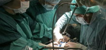 Xenotransplantation: Erstmals Schweineleber in lebenden Patienten transplantiert