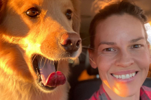 Promi-Hunde: Auf den Hund gekommen! Stars und ihre Vierbeiner