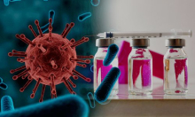 Bakterije su sve otpornije na penicilin. Može li nam pomoći otkriće staro više od 100 godina?