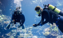 Kod Napulja otkriven rijedak veliki bijeli koraljni greben