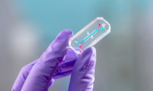 NASA testira 'astronaute na čipu': 'Mini verzije članova posade otputovat će prema Mjesecu'