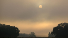 Wetter: Herbstwetter und Nebel in Berlin und Brandenburg