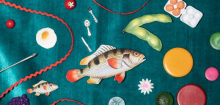 Brainfood-Ernährungstipps: Wie man Demenz vorbeugt und seine Geisteskraft stärkt