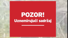 Užasne scene kod Zadra, našli  obješenog psa: 'Zastrašujuće...'