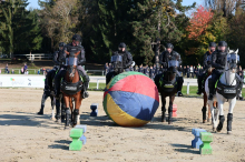 Mariborska policijska konjenica praznuje 40 let