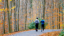 Wetter-Vorhersage: Wochenende wird vielerorts sonnig - Nachtfrost im Osten