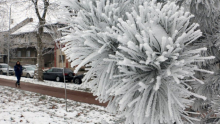 ŠOKANTNE PROGNOZE METEOROLOGA: Polarni vrtlog jača i brzo se širi, dobija ledenu energiju - od dve pojave zavisi kakva će biti zima