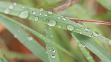Wetter: Wechselhaftes Wetter zum Wochenstart in Sachsen-Anhalt
