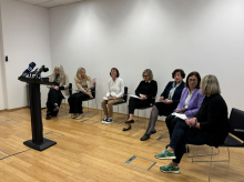 Strokovnjakinje znova pozvale k ustavitvi predloga zakona o psihoterapevtski dejavnosti