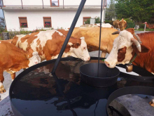 Mednarodna nagrada za sodobno rekonstrukcijo vodnjaka v Stari Fužini