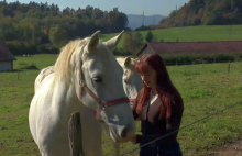 Konjeniški center Krumperk nameravajo zapreti, konje prodati na dražbi