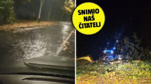 Nevrijeme pogodilo Zagreb. Vatrogasci su imali više od 50 intervencija! Pogledajte fotke