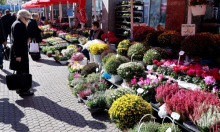 Cvjećari progovorili o cijenama cvijeća za blagdan Svih Svetih: Treba nam bolja regulacija