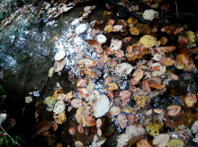 V noči na ponedeljek možni močni sunki vetra, razlijejo se lahko manjši hudourniki