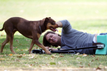 Ex-Football-Spieler Tom Brady hat angeblich seinen Hund geklont