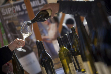 Opozorila pred martinovanji: 