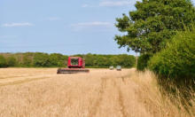 Država kreće u obnovu poljoprivrednog potencijala: Moguće dobiti do milijun eura