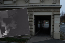 Wer erleichtert sich regelmäßig vor Tür eines Kärntner Promi-Anwalts?