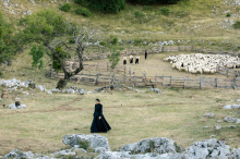 Insajderski namigi Petre Meterc od Panahijevega Bila je samo nesreča do Kelly Reichardt