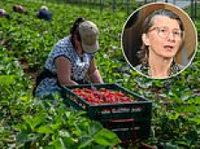 Scotland needs A MILLION more migrants to 'work the land' and tackle climate change, says Green MSP