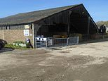 Petting zoo owner fined over £20,000 after infecting 264 adults and children with a dangerous parasite