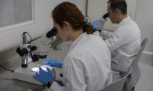 Tek 50 ljudi na svijetu ima ovu krvnu grupu. Znanstvenici je sada pokušavaju stvoriti u laboratoriju