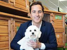 Louder than war! The pet shop tycoon who moved into his £4million South Downs estate... then hosted an explosive firework display that left a horse dead, dogs vomiting in terror and neighbourly relations up in flames