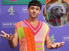 Knit-wit Tom Daley in the doghouse again for putting greyhounds in woolly coats and hats