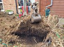 Neighbours living in Britain's bamboo capital forced to shell out thousands after roots explode beneath their gardens