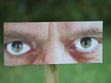 Domestic violence victims criticise council over 'triggering' anti-litter posters featuring 'intimidating, masculine eyes'