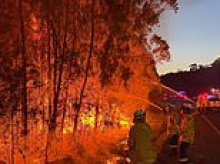 Bushfire warning issued for NSW South Coast residents - as extreme fire danger is declared in other parts of the state