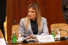 MINISTARKA STAMENKOVSKI POSLE SEDNICE VLADE: U vremenu kada se vrše pritisci na Srbiju, naše je da pokažemo jedinstvo, odgovornost i snagu