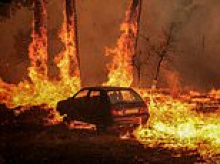 'Eco-fear' and anxieties over climate change could fuel illegal drug use, health watchdog says