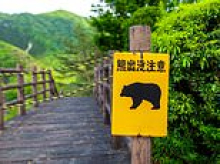 Foreign Office issues travel warning for Japan after record number of deaths