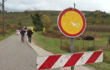 Gasilci in civilna zaščita so se prebili do Kožbane. Škoda bo ogromna.