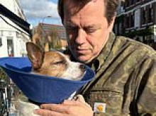TOM PARKER BOWLES: How I fought to save my Jack Russell Maud from the jaws of a 10st mastiff who savaged her in London street
