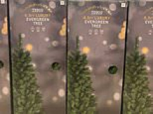 Britons rage over 'woke' Tesco's decision to rename Christmas trees as 'evergreen trees'