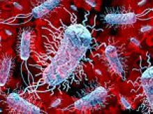Superbugs 'could overwhelm NHS' this winter as stretched health service faces tsunami of seasonal viruses