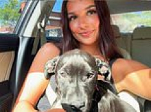 Top police chief's teen daughter 'poisoned her friend's dog until it had to be put down'