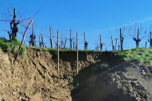 Sanacija plazu na cesti do Kožbanskega kota bi lahko trajala do konca tedna