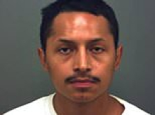 Fury as creep receives 'appalling' punishment for eating cat after Trump warned the practice was rampant