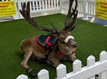 Outrage erupts over Aussie shopping centre's 'cruel' Christmas display: 'It's 2025, they should do better'