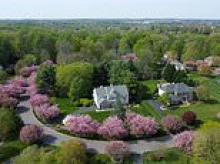 Fury as new 'upkeep' law will fine homeowners $200 for common yard maintenance practice