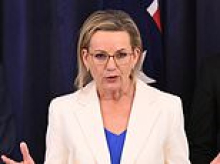 Sussan Ley's Liberal party looking at screening migrants based on if they have 'Australian values'