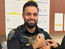 Adorable little kitten is saved by kind police officer after getting wedged inside a Tesla