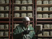 The secret to the best cheddar: Traditional family cheesemakers reveals century-old methods that would horrify vegetarians