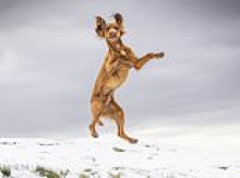 Scotland's icy blast set to turn to rain this weekend after chilliest night of the autumn