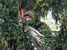 Extinction Rebellion protester climbs Christmas tree destined for Trafalgar Square