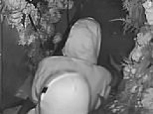 Burglars arrested after squeezing in a 'steamy X-rated session while stealing from restaurant'